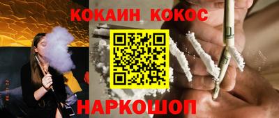 шишки Гай