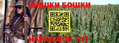 шишки Гай