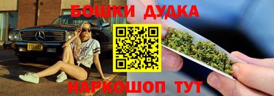 шишки Гай