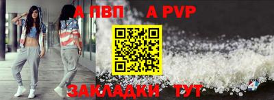 шишки Гай