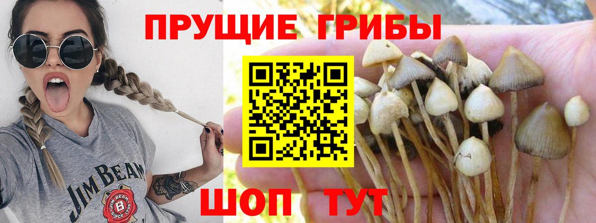 Псилоцибиновые грибы Magic Shrooms Гулькевичи